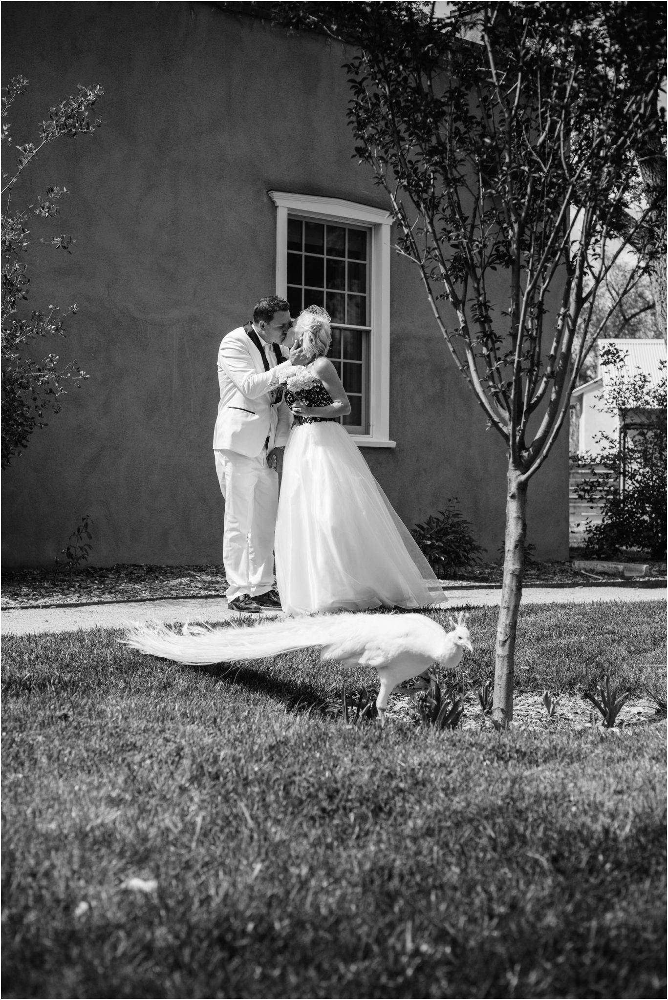 Albuquerque Wedding Photographer Blue Rose Photography Studio_ Top New Mexico Wedding photos and photographers