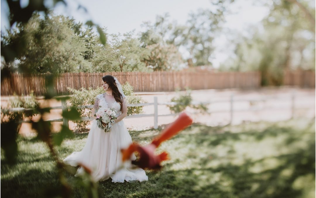 Latisha and Stephen’s New Mexico Wedding