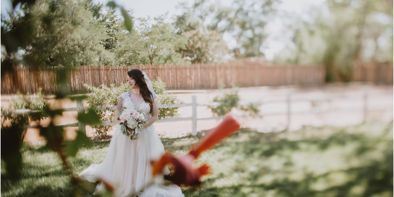 Latisha and Stephen’s New Mexico Wedding