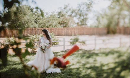 Latisha and Stephen’s New Mexico Wedding
