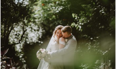 Allison and Daniel, Albuquerque NM Wedding