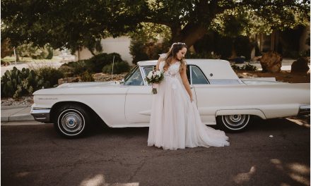 Talia and Samuel’s Albuquerque Wedding