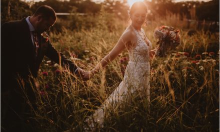 Briana and Roger’s Old Town Farm Wedding