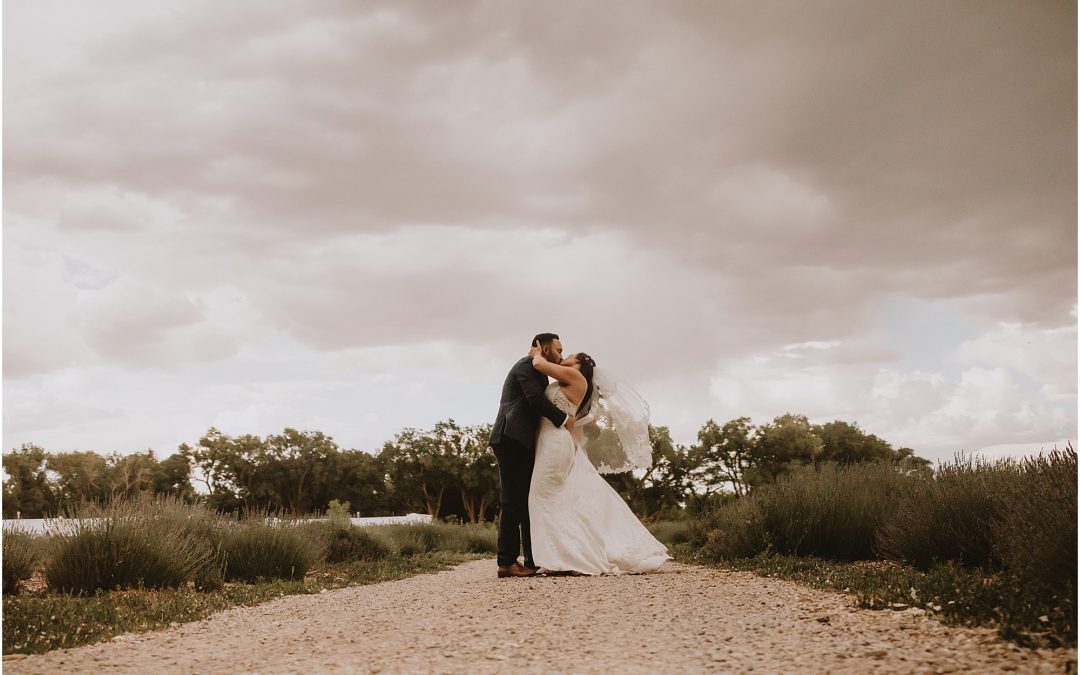 Tara and Kyle’s Los Poblanos Wedding