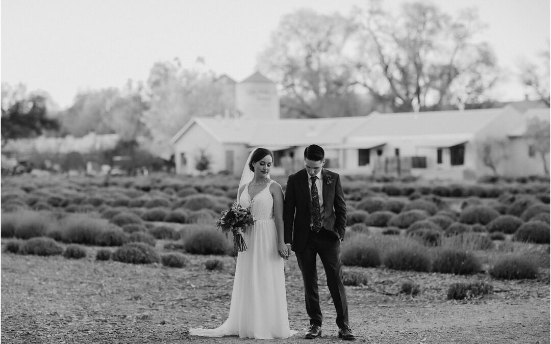 Cynthia and Gabriel’s Fall Wedding in Albuquerque