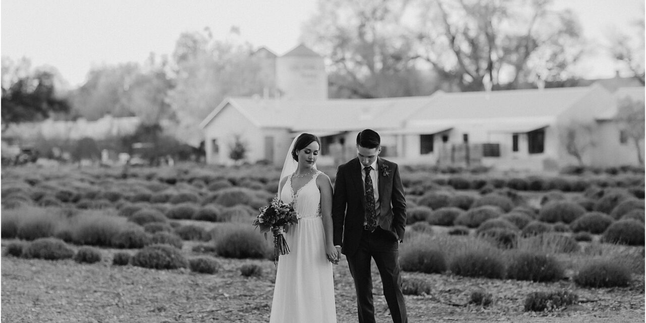 Cynthia and Gabriel’s Fall Wedding in Albuquerque