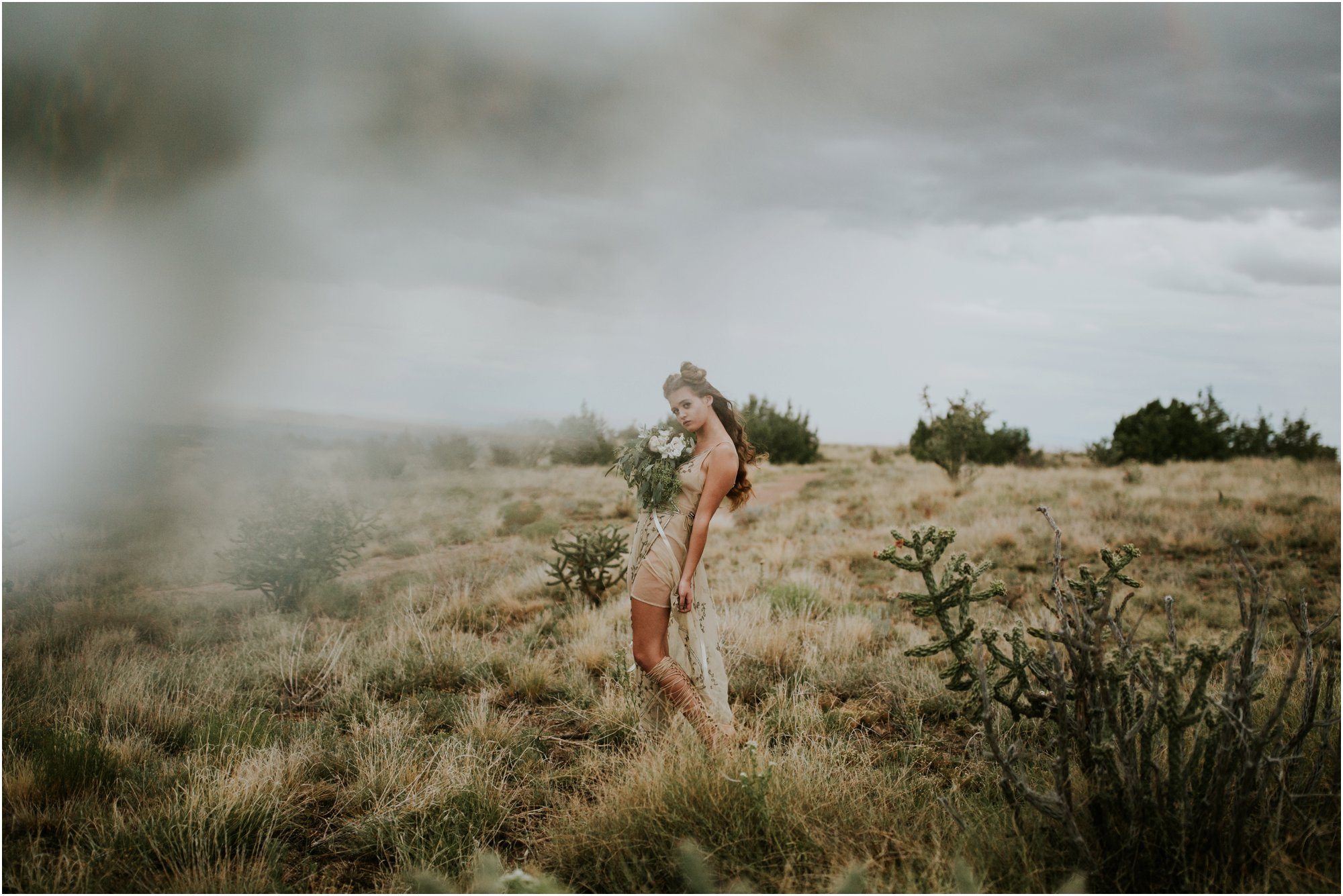 Sophie, Desert Foothills