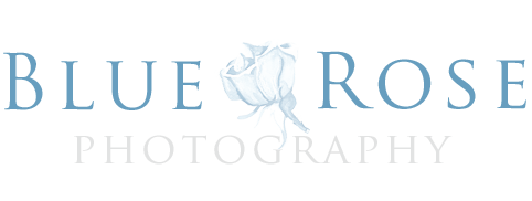 Albuquerque Wedding Photographer — Blue Rose Studios